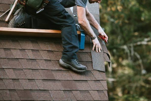 Professional Roofing Contractor in Williamsport, IN